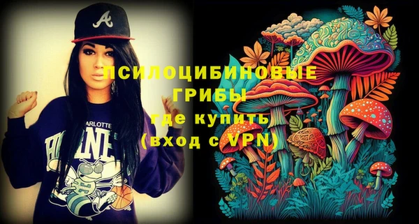 a pvp Каменка