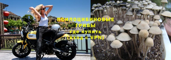 марки nbome Каменногорск