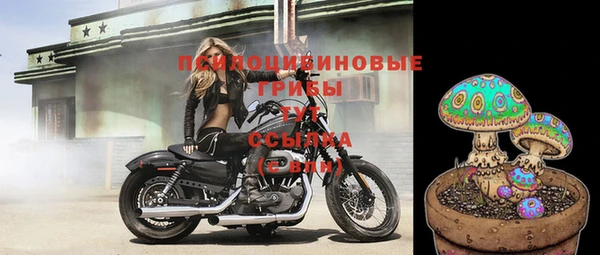 a pvp Каменка